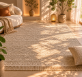 Living room with a patterned rug, sofa, and decorative plants.